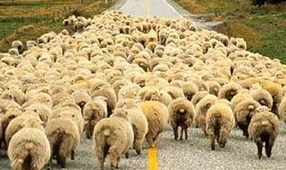 Братья-самогонщики обеспечили милиции одно из самых крупных изъятий самопального алкоголя