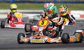 Фотофакт: в Минске собрались любители Ford Mondeo